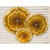 Dekorative Rosetten in 3 Gr��en - Gold, Set mit 3 St�ck Bild 2