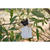 SALE Naturfarbendes Raffia, 4 mm, Natur, 50 g Bild 2