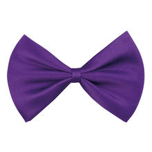 SALE Fliege, lila