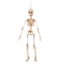 Deko-Skelett, 50 cm, hängend, beweglich