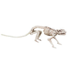 Ratten- Skelett, 35 cm, stehend
