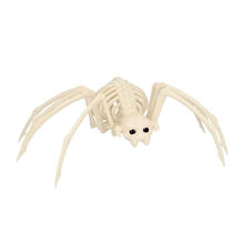 NEU Skelett Spinne, 37x21x11cm