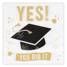 NEU Servietten Graduation Yes you did it, 20 Stck