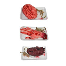 Blutige Körperteile Herz, Hand oder Gehirn, sortierte Modelle
