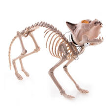 NEU Halloween-Deko-Figur Katzen-Skelett, ca. 60x17x30cm