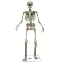 NEU Halloween-Deko-Figur Riesen-Skelett, ca. 240cm, mit Licht, Sound und  Bewegung, strombetrieben - Halloween Figuren & Groß-Deko Halloween Produkte  