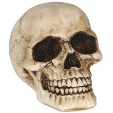 NEU Halloween-Deko Totenkopf, schwere Qualitt, ca. 8cm