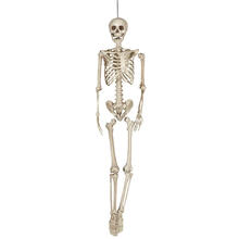 90cm Halloween-Skelett Halloween Lebensgroß