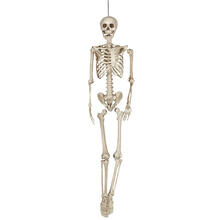 NEU Halloween-Deko-Figur Skelett, ca. 160cm