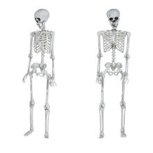 NEU Halloween Deko Skelett, ca.145cm