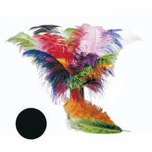 SALE Strauenfeder, 50-60cm, schwarz