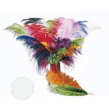 SALE Strauenfeder, 50-60cm, wei