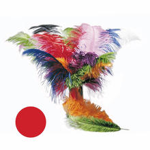 SALE Strauenfeder, 50-60cm, rot