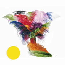 SALE Strauenfeder, 50-60cm, gelb
