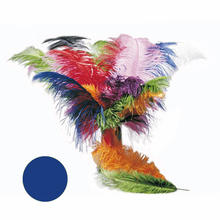 SALE Strauenfeder, 50-60cm, blau