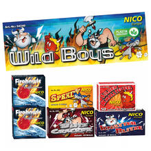Feuerwerk / Kinder- & Jugendfeuerwerk, Wild Boys, Packung mit 6 Schachteln