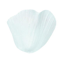 SALE Rosenbltter mit Blatt, wei,  5 cm, 100 Stk.