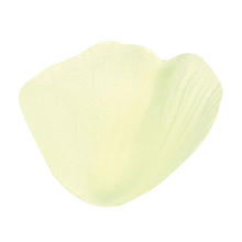SALE Rosenbltter mit Blatt, altwei  5cm 100 Stk.