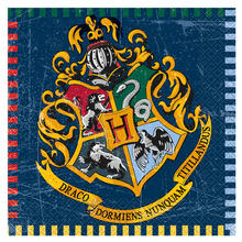 8 Stück 18 cm Harry Potter Kindergeburtstag WOOOOZY NEU Teller aus Pappe Größe ca