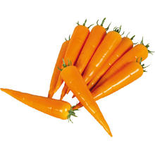 SALE Mhre 1 Stck, Kunststoff, orange/grn, 20 cm