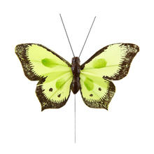 Schmetterlinge, grün-schwarz, 6 Stück