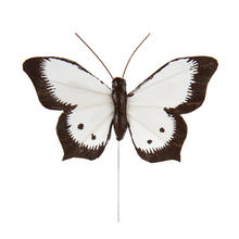 SALE Schmetterlinge, wei-schwarz, 6 Stck