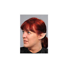 Spitzohren Spitzohren